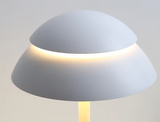 Leuchtendes Prestige Lampe