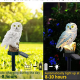 Solar-Eulenlampe (2er-Pack)