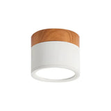 Skandinavische Cylinder LED-Deckenleuchten für Flure