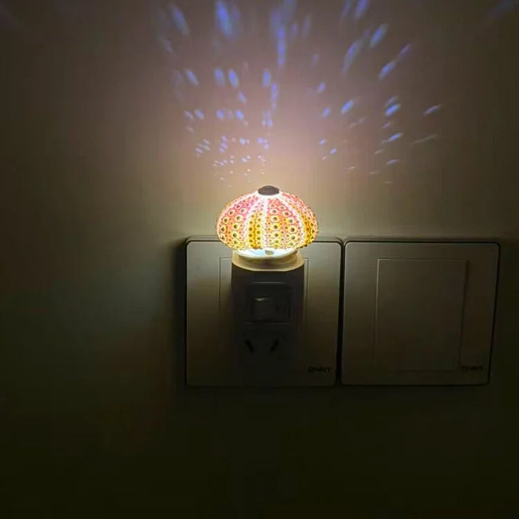 DIY Seeigel-Nachtlicht