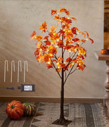 LED beleuchteter Ahornbaum